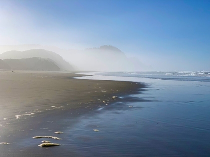 Picture of FOGGY BEACH II