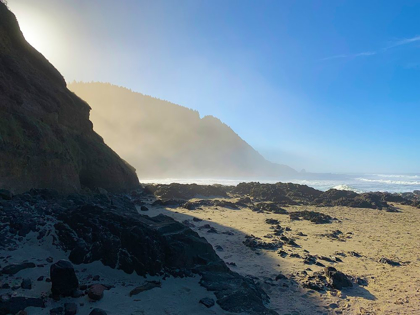 Picture of FOGGY BEACH III