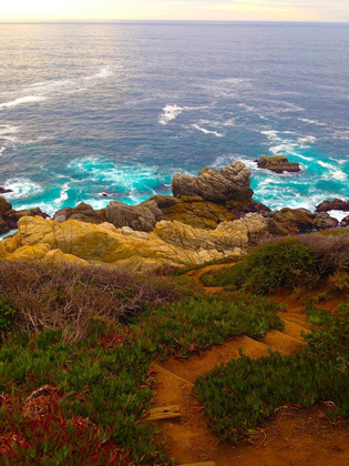 Picture of ROCKY PATH I