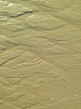 Picture of WET SAND I