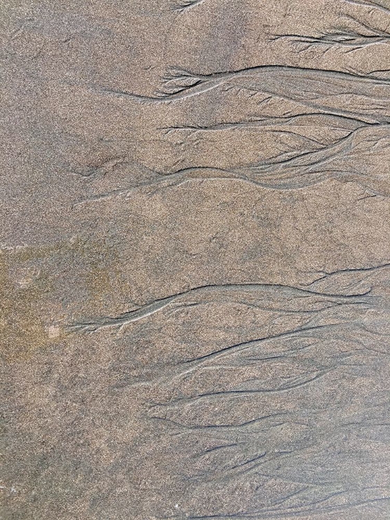 Picture of WET SAND IV