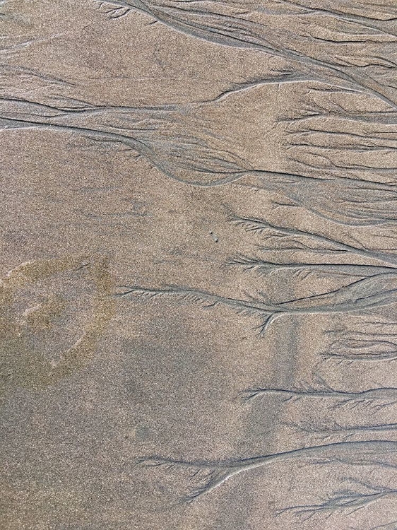 Picture of WET SAND V