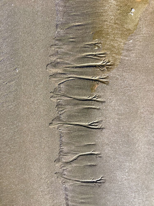 Picture of WET SAND VII