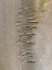 Picture of WET SAND VII