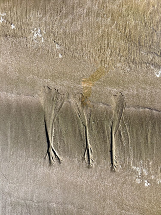 Picture of WET SAND VIII