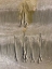 Picture of WET SAND IX