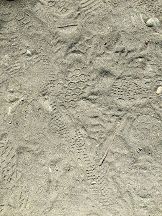 Picture of SAND PRINTS I