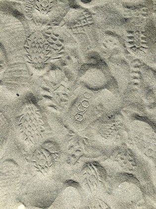Picture of SAND PRINTS II