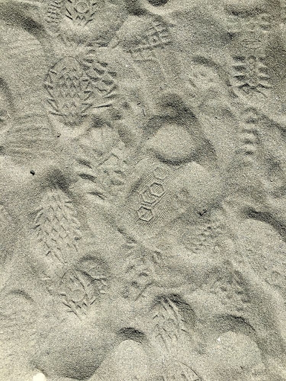 Picture of SAND PRINTS II