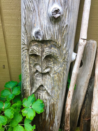 Picture of WOODEN FACE II