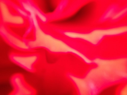 Picture of ROSE PETAL I
