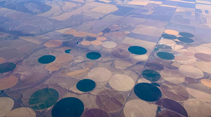 Picture of CROP CIRCLES I