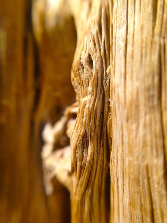 Picture of WOOD FIBER I