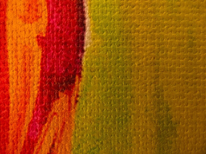 Picture of CANVAS CLOSEUP I