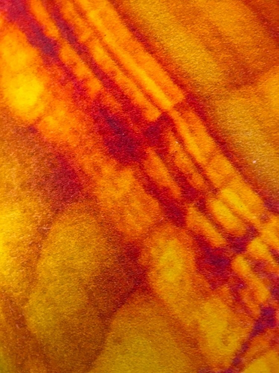 Picture of CANVAS CLOSEUP VI