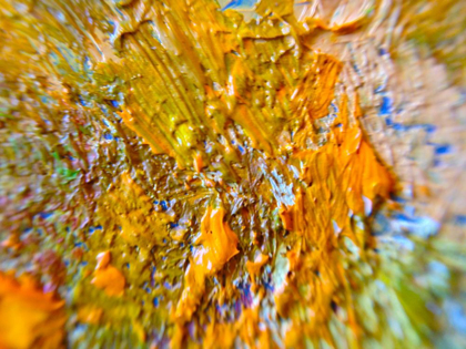 Picture of PAINT CLOSEUP I