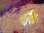 Picture of PAINT CLOSEUP II
