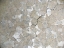 Picture of PARCHED EARTH I