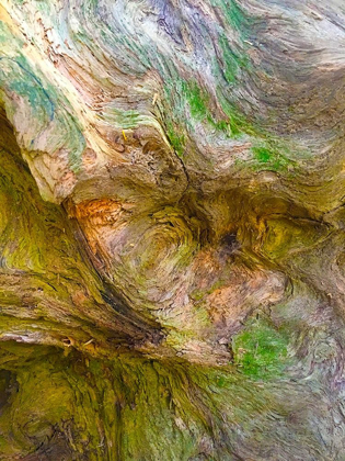 Picture of BARK LAVA II