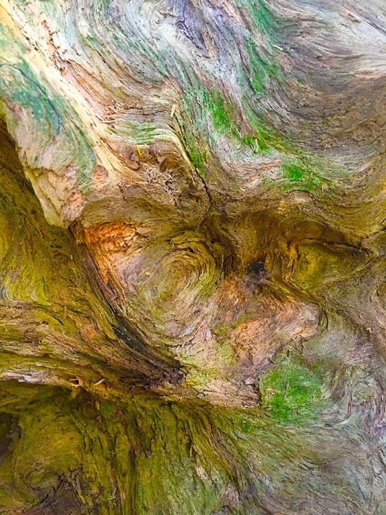 Picture of BARK LAVA II