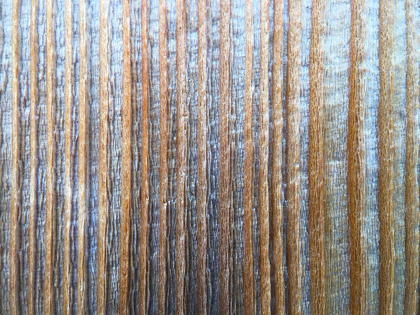 Picture of BARK STRIPES I