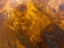 Picture of WOOD TEXTURE II