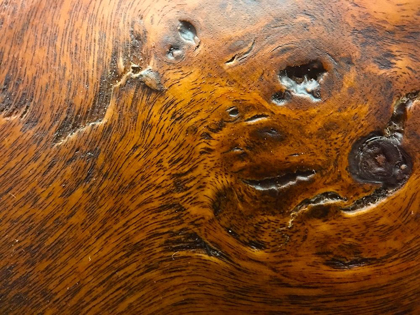Picture of WOOD TEXTURE III