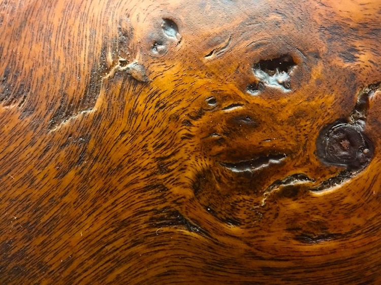 Picture of WOOD TEXTURE III