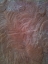 Picture of SANDSTONE I
