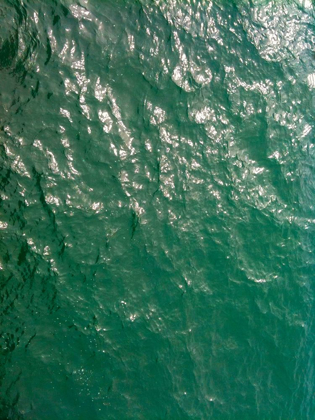 Picture of WAVES I