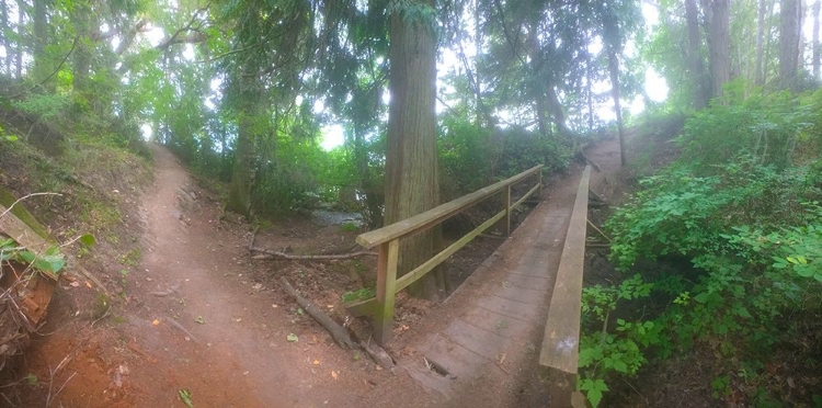 Picture of FOREST BRIDGE I