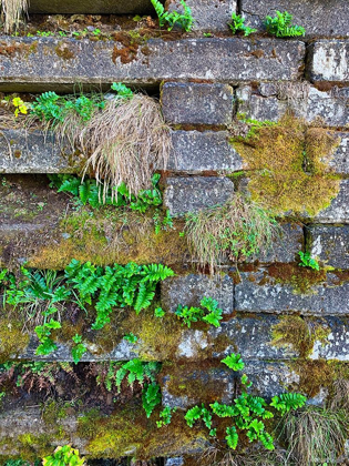 Picture of WALL GARDEN III