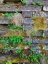 Picture of WALL GARDEN III