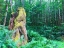 Picture of RAINFOREST III