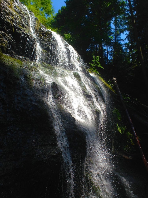 Picture of WATERFALL LIGHT I