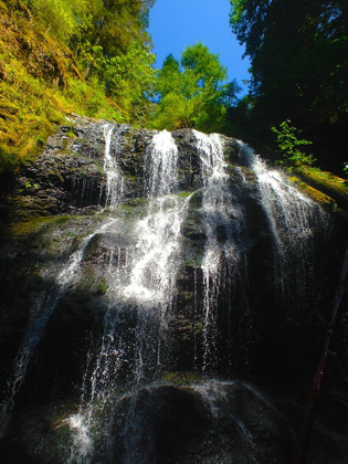 Picture of WATERFALL LIGHT II