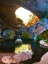 Picture of NATURAL BRIDGE II