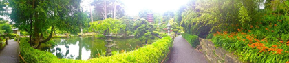 Picture of JAPANESE GARDEN I