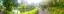 Picture of JAPANESE GARDEN I