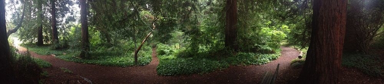 Picture of BOTANICAL GARDEN I