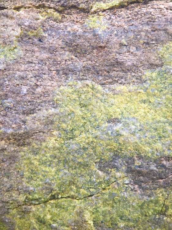 Picture of ROCK FACE I