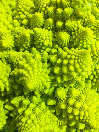Picture of NATURAL FRACTALS III