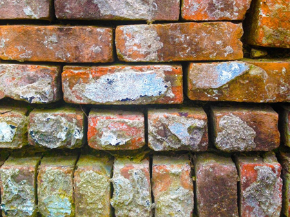 Picture of BRICK WALL I