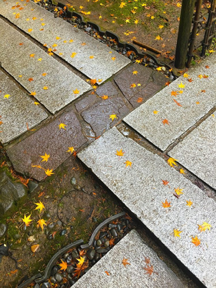 Picture of JAPANESE STONE PATH I