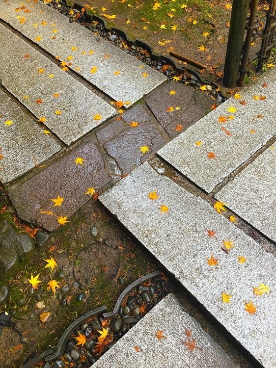 Picture of JAPANESE STONE PATH I
