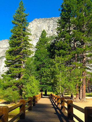 Picture of YOSEMITE BRIDGE I