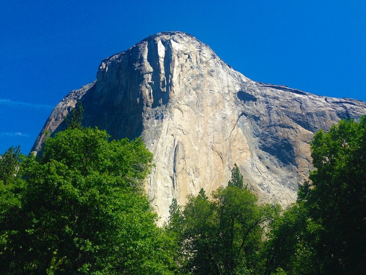 Picture of EL CAPITAN I