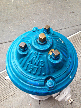 Picture of BLUE FIRE HYDRANT II