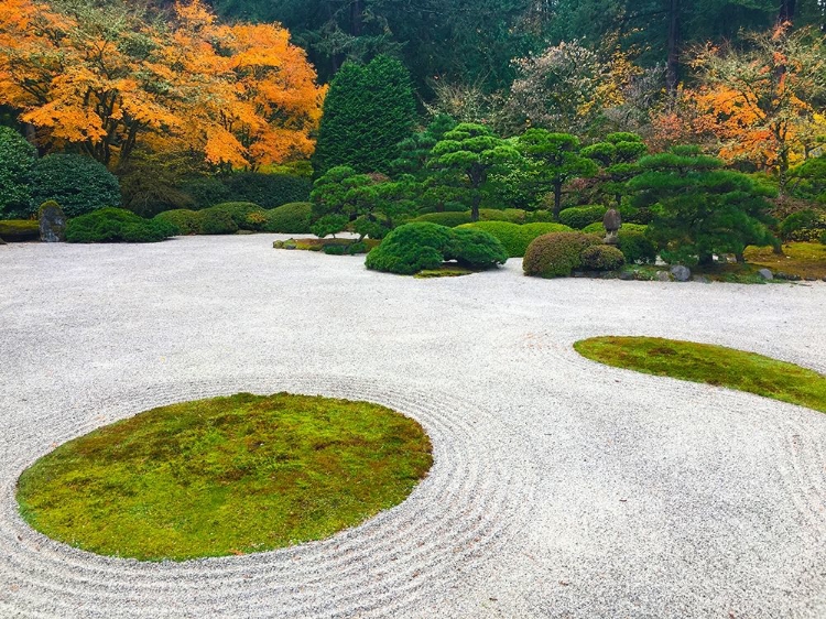 Picture of ZEN GARDEN I