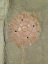 Picture of UTILITY COVER I